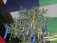 dsc00029