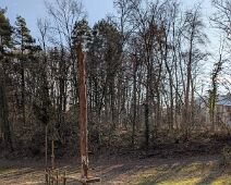 dr_jubi44_2025_03