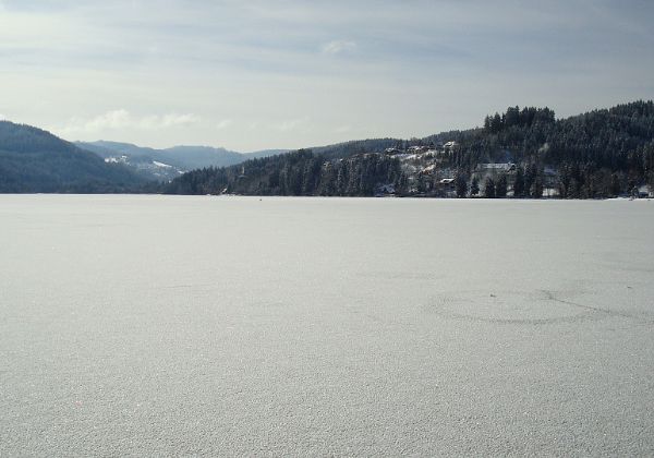 Umzug in Titisee im Schwarzwald