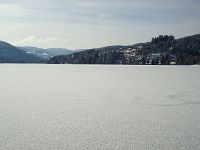 dr_umzug_titisee_05